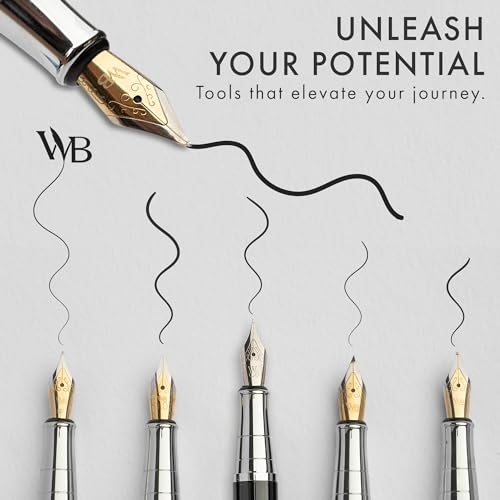 Luxury Fountain Pen Set for Writing