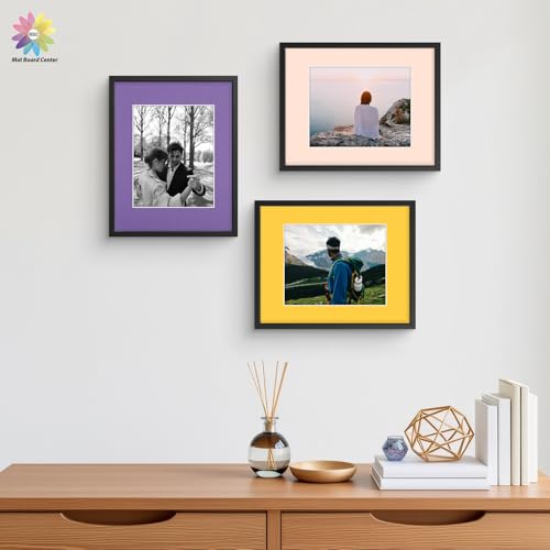 Mat Board Center 10 Pack 11x14 Mat+Backings+Bags for 8x10 Photo Mix Color