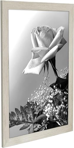 12x18 Poster Frame