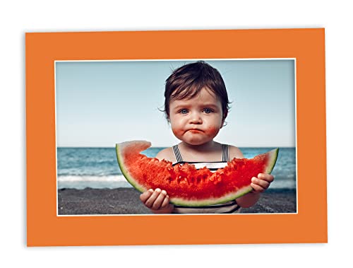 Pack of Ten Acid Free 11x14 Mats Bevel Cut for 9x12 Photos (10 Count)