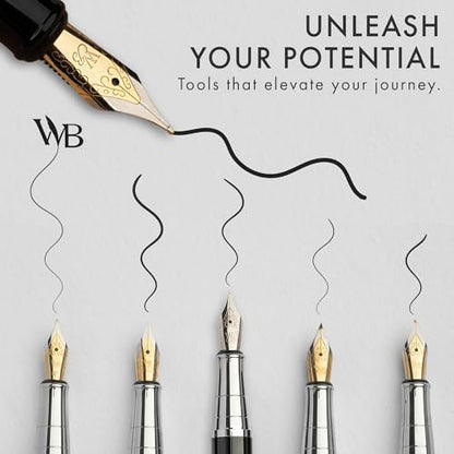 Luxury Fountain Pen Set for Writing