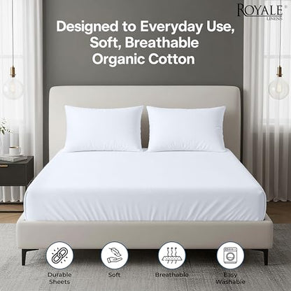 100% Organic Cotton 2 Pack Fitted Sheet (2 Count)