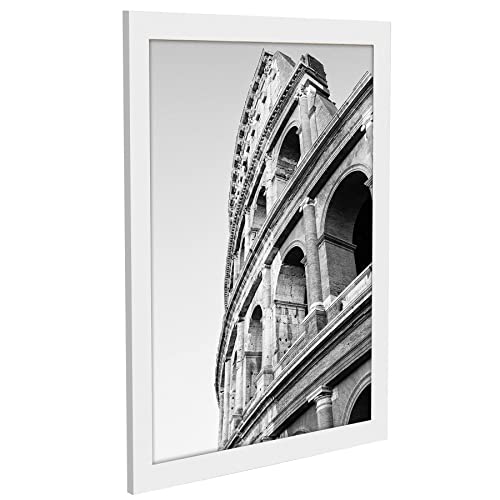 20x24 Poster Frame