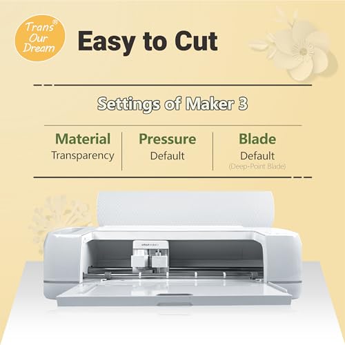 Clear Reusable Acetate Mylar for Vinyl Cutting (10 Sq Ft)