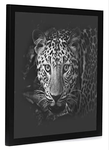 17x17 Picture Frame (17 Count)