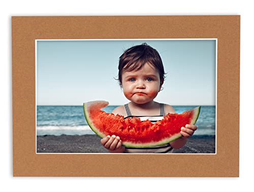 Pack of Ten Acid Free 11x14 Mats Bevel Cut for 9x12 Photos (10 Count)