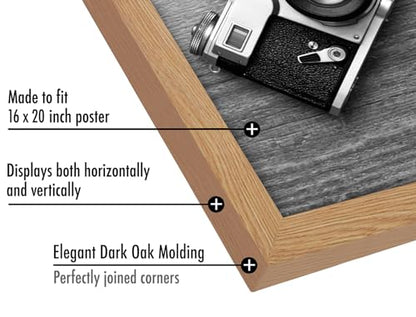 16x20 Poster Frame
