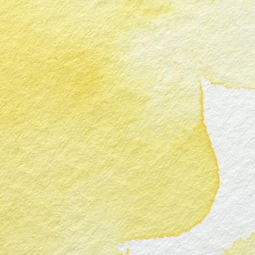 Professional Watercolor