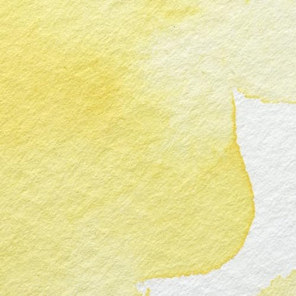 Professional Watercolor