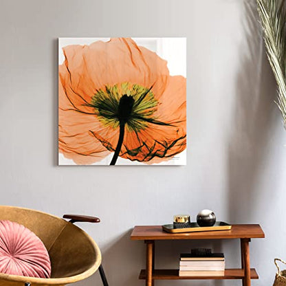 Frameless Free Floating Tempered Glass Panel Graphic Wall Art Ready to Hang