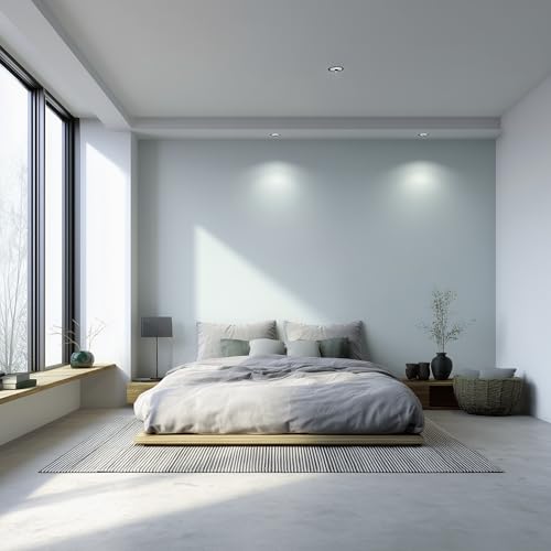 Paint & Primer (128 Fl Oz)