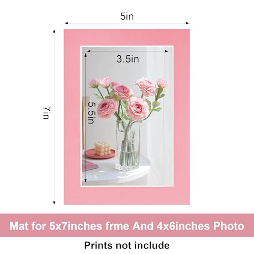 10 Pack 5x7 Mixed Colors Picture Mats