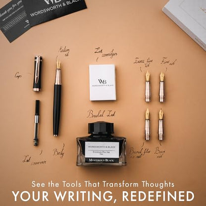 Luxury Fountain Pen Set for Writing