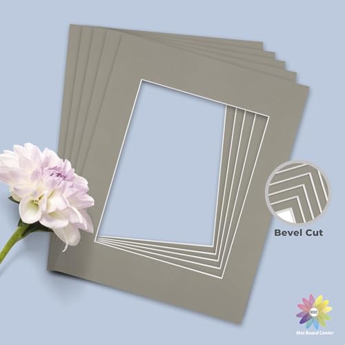 Mat Board Center 10 Pack 11x14 Photo Mats for 8x10 Picture (10 Count)