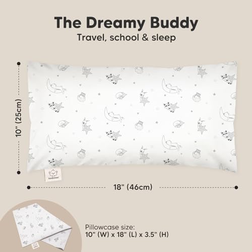Toddler Pillow with Pillowcase