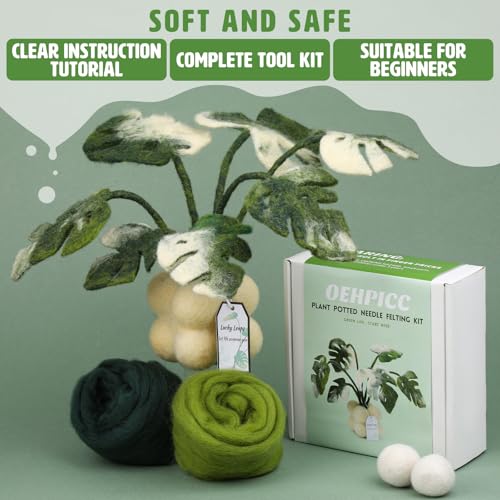 Needle Felting Kit for Beginners