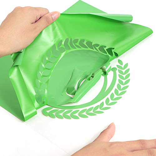 RENLITONG Heat Transfer Vinyl (10 Foot)