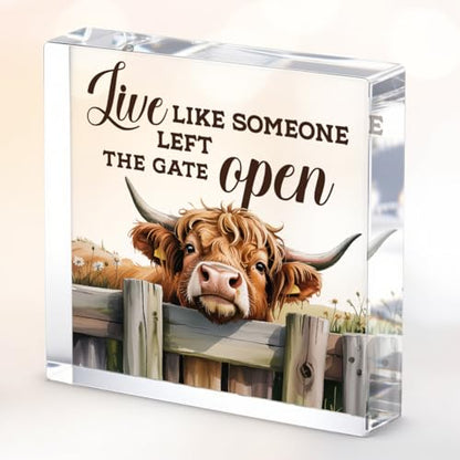 Cute Cow Decorative Signs