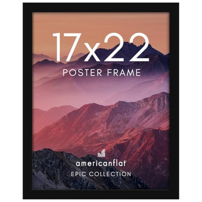 17x22 Poster Frame