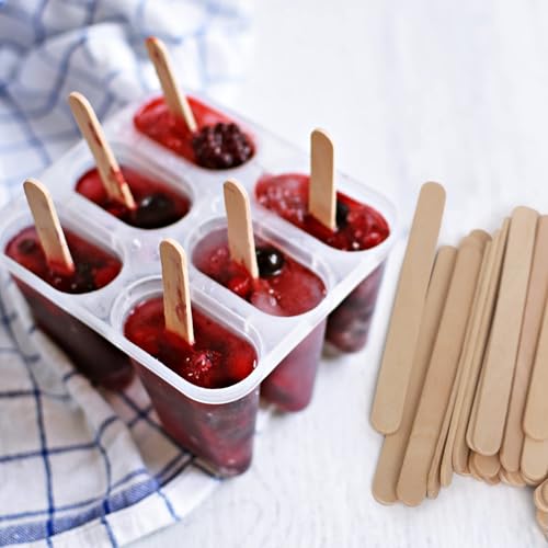 1000 Pcs Popsicle Stick (1000 Count)