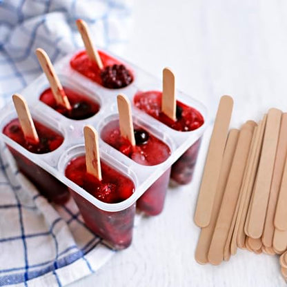 1000 Pcs Popsicle Stick (1000 Count)