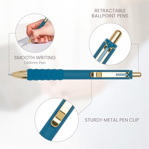 Ballpoint Pens Black Ink Medium Point 1.0mm (12 Count)