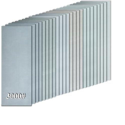 20PCS Sand Paper 3000 Grit Sandpaper Sheets (20 Count)