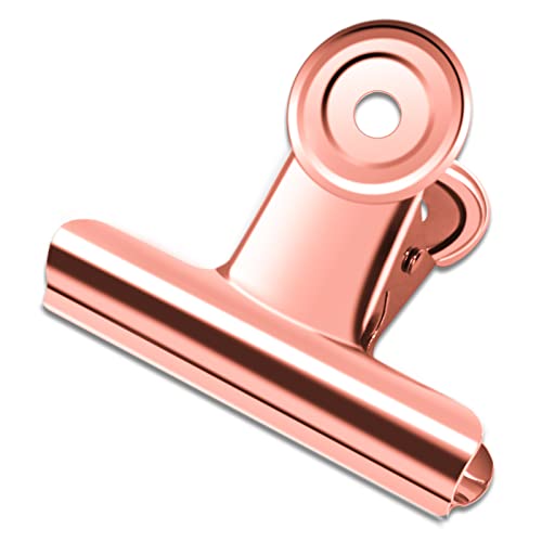 10 Pack Large Metal Hinge Clips 2.5 Inches Bull Hinge Paper Clips (10 Count)