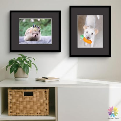 Mat Board Center 25 Pack 16x20 Picture Mat for 11x14 Photo Black