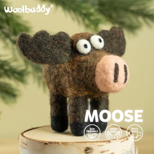 Needle Felting Starter Kit