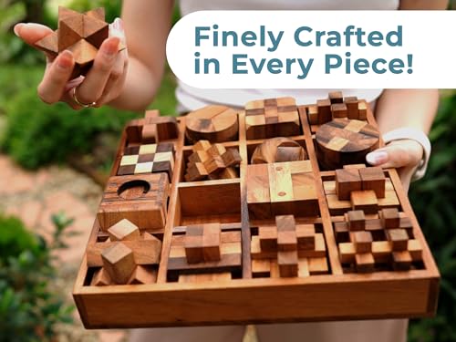16 in 1 Wooden Brain Teaser Puzzles for Adults and Seniors Interlocking 3D Mini Wood Mind Games Hand Puzzle Teasers Set Toys Coffee Table Games Gift