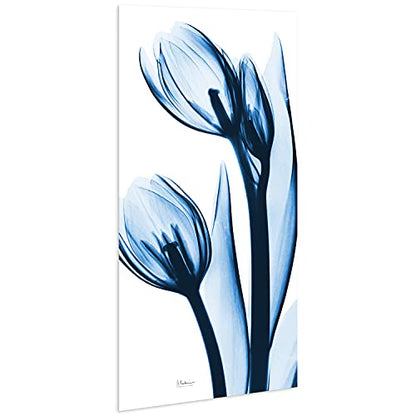 Frameless Tempered Glass Wall Art