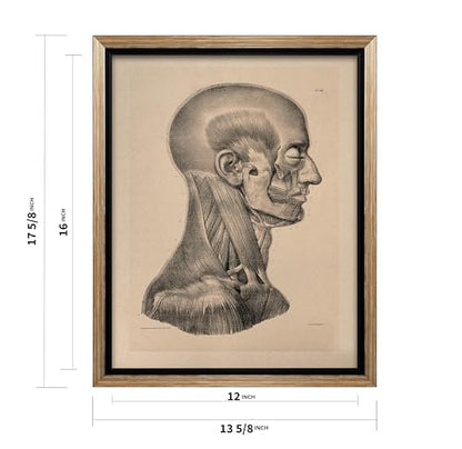 Vintage Science Canvas