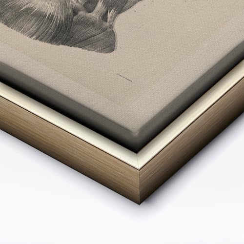 Vintage Science Canvas