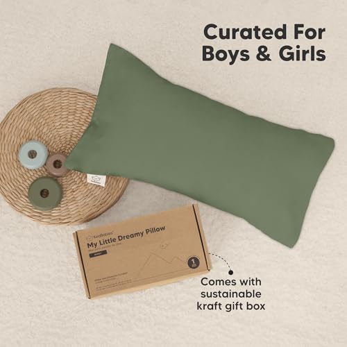Toddler Pillow with Pillowcase