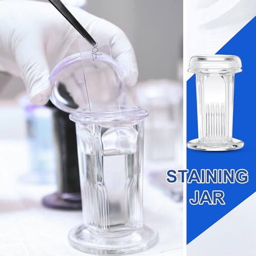 6 Pieces Coplin Staining Jars (6 Count)