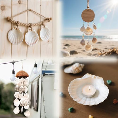 60PCS Scallop Shells for Crafts Large Beach Natural Shells Bulk for Decoupage DIY Crafts Seashell Decorations Home Decor White 4''