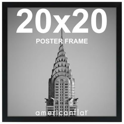 20x20 Poster Frame