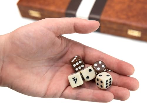 Backgammon Board Game