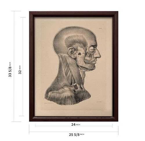 Vintage Science Canvas