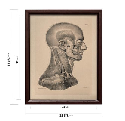 Vintage Science Canvas