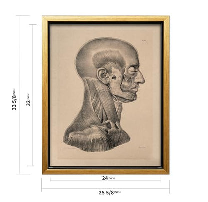 Vintage Science Canvas
