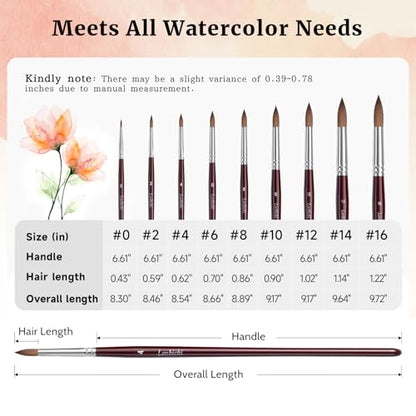 Sable Hair Watercolor Brushes Professional (9 Count)