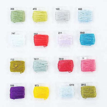 2 Pack Embroidery Floss Organizer with 216 Pcs Embroidery Floss