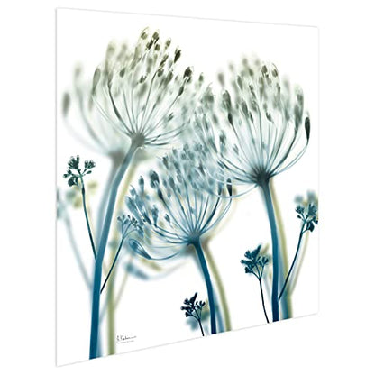 Frameless Free Floating Tempered Glass Panel Graphic Wall Art Ready to Hang