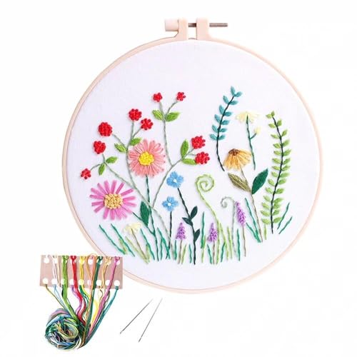 Needle Point Kits Adults Full Range of Starter Including Instructions Stamped Cloth with Pattern Hoop Color Threads and Tools Art Projects
