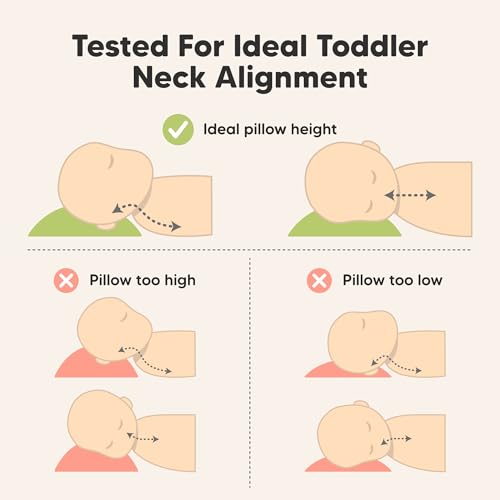 Toddler Pillow with Pillowcase