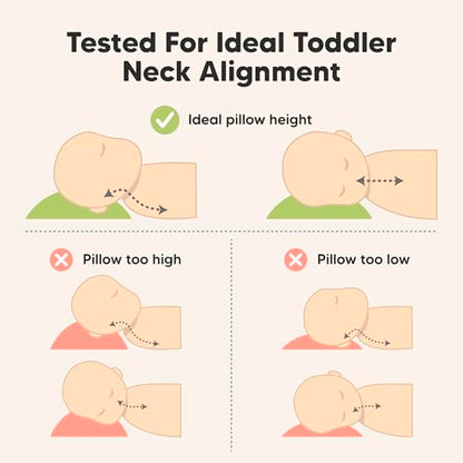 Toddler Pillow with Pillowcase
