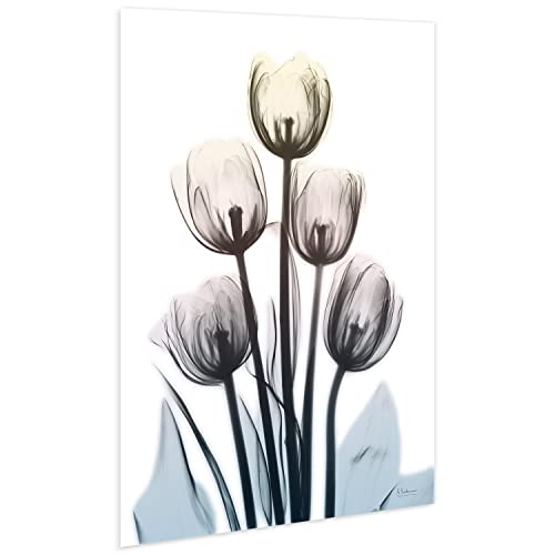 48"x32" Frameless Tempered Glass Wall Art