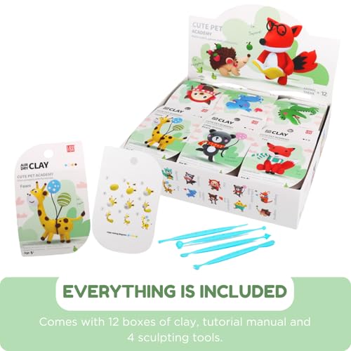 Air Dry Clay Kit